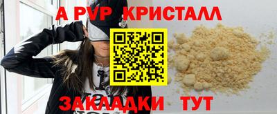 хмурый Апшеронск