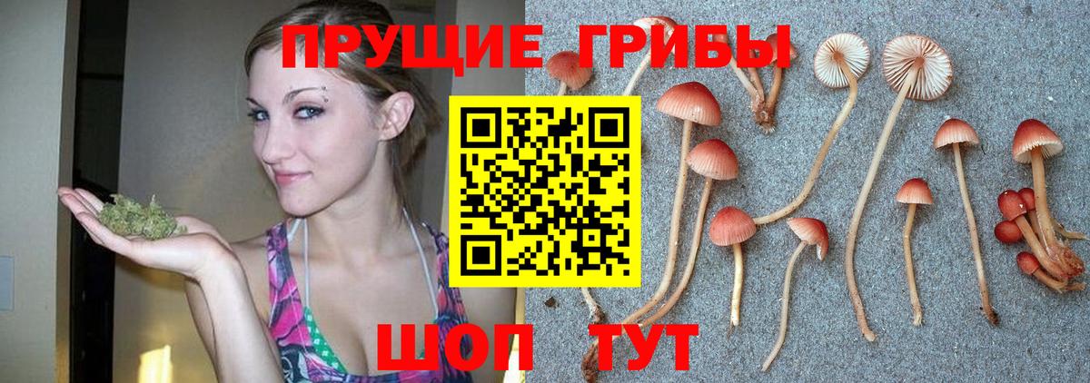 Псилоцибиновые грибы Cubensis  Галлюциногенные грибы мицелий  закладки  Вход с VPN  Видное 
